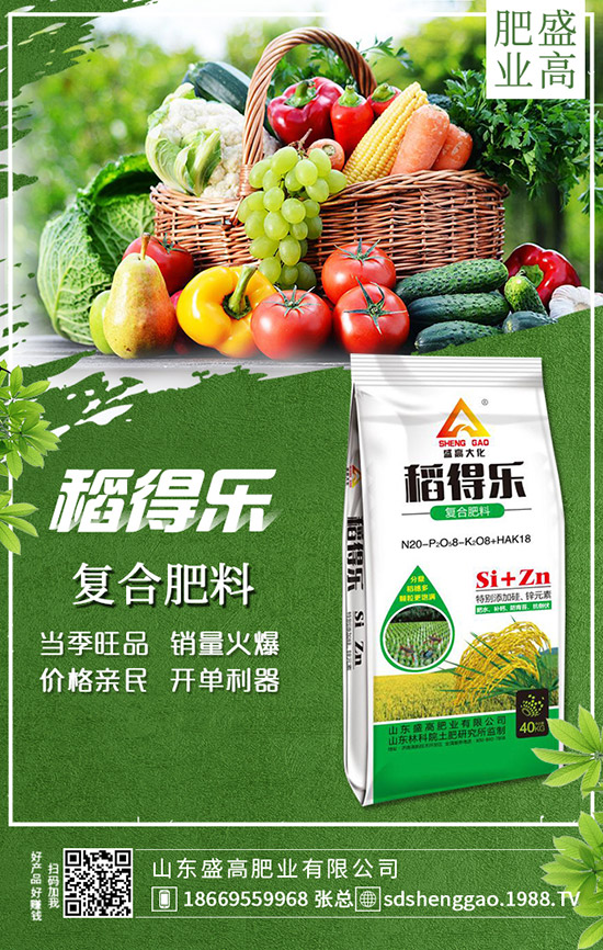     �ֲ��؅^(q��)���������»���12��25�Շ���(n��i)���؃r���߄ݼ��������u��