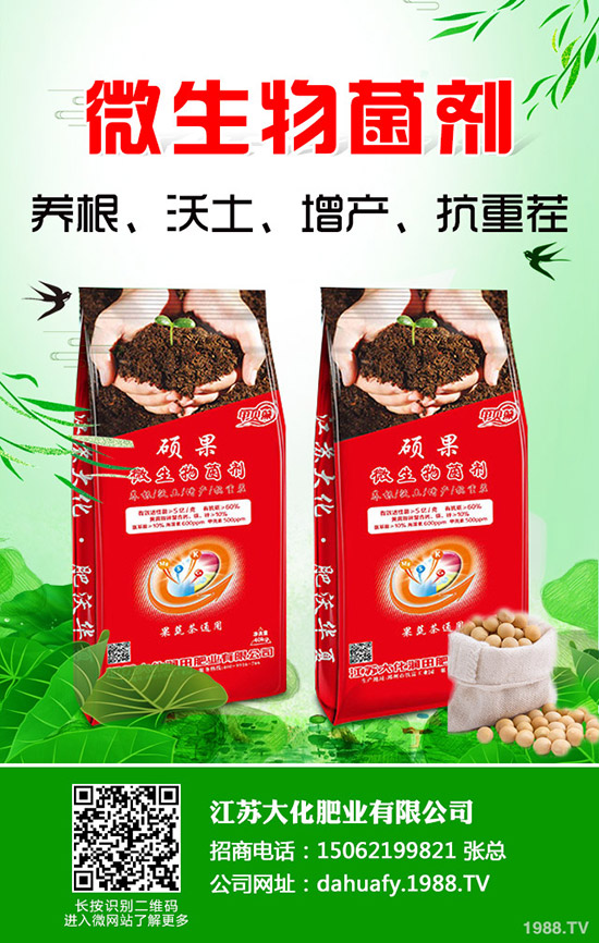 香菜一畝產(chǎn)量是多少？2020種植香菜賺錢嗎？前景和成本利潤(rùn)如何？