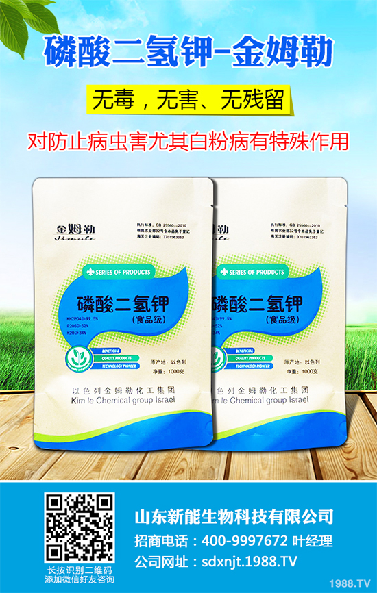 ħ��r������Xһ�2020��ħ��Nֲ���Ј�����