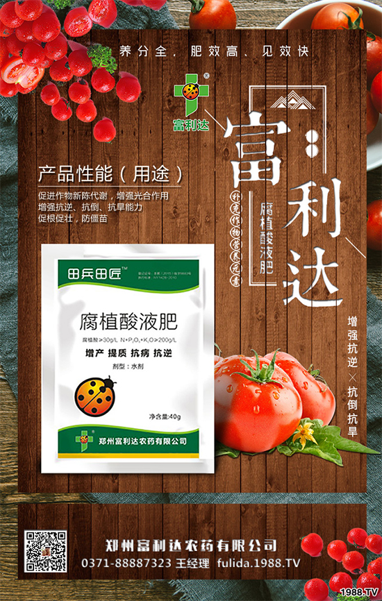 �Nֲʲôˎ����ٍ�X��2020����ˎ�ķNֲǰ������