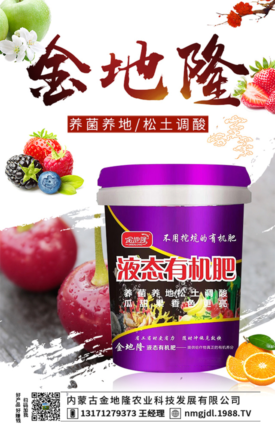 木耳菜多少錢一斤？2020木耳菜種植前景如何？（附種植技術(shù)）