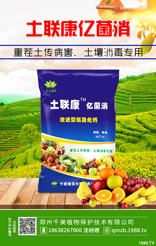     2020尿素價格行情如何？會漲么？12月30日各地區(qū)尿素主流出廠報價！