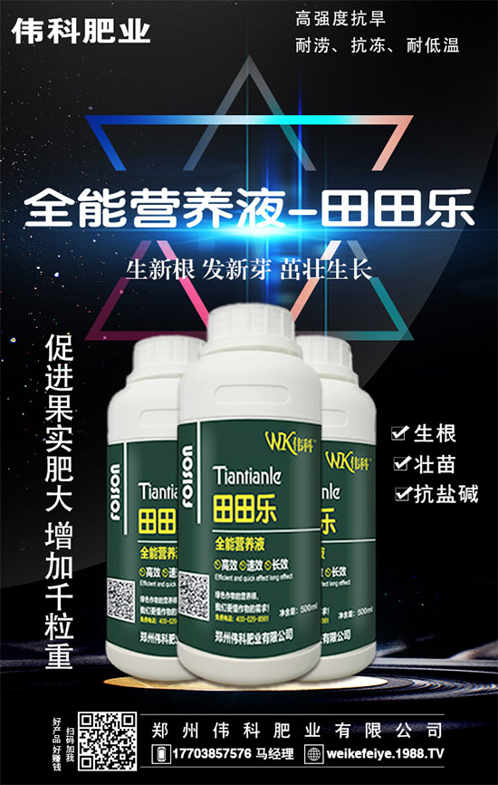     ���ӵĠI�B(y��ng)�r(ji��)ֵ����Щ����Ч�c��������Щ��������Щ��Ⱥʳ�ã�