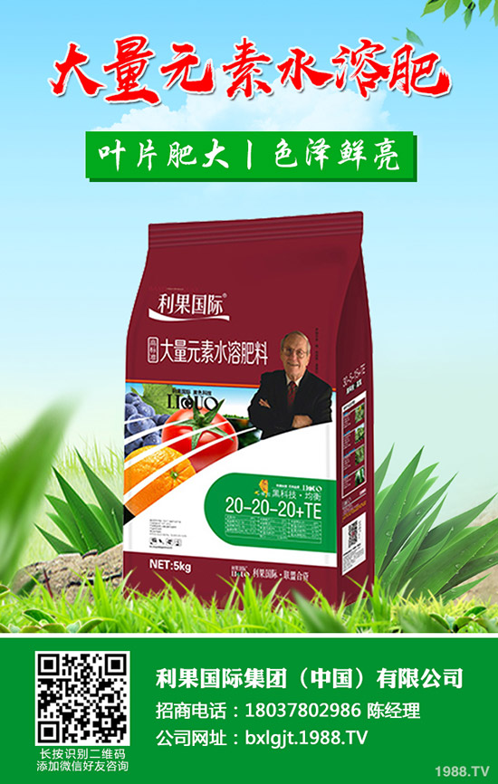 ���FƤʯ����ʲô��̎���FƤʯ���Ĺ�Ч�c��������Щ