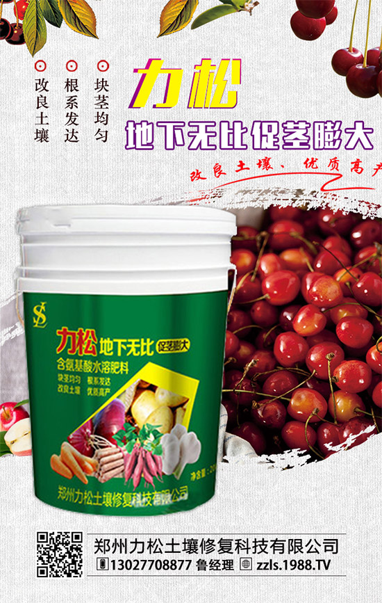     2019-12-4���@�������M�������㣡���@�r��������������