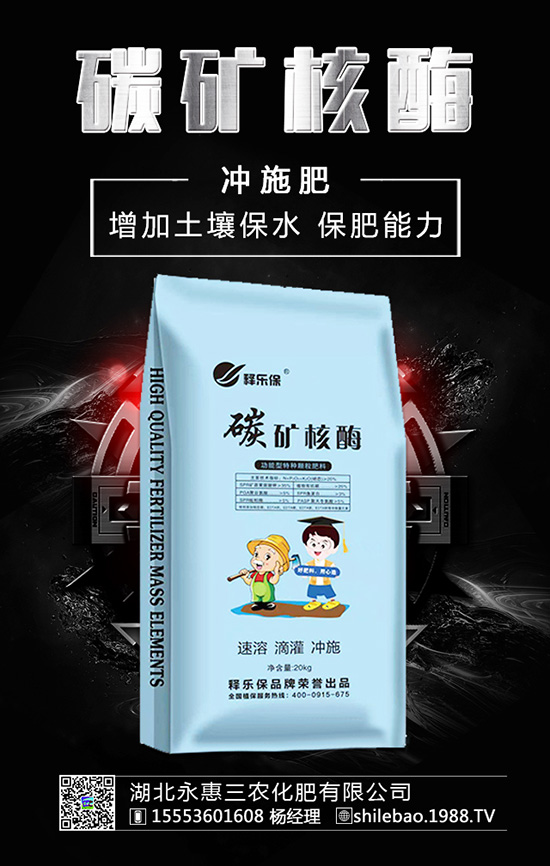 �����롰���������������ʲ����^�L������������