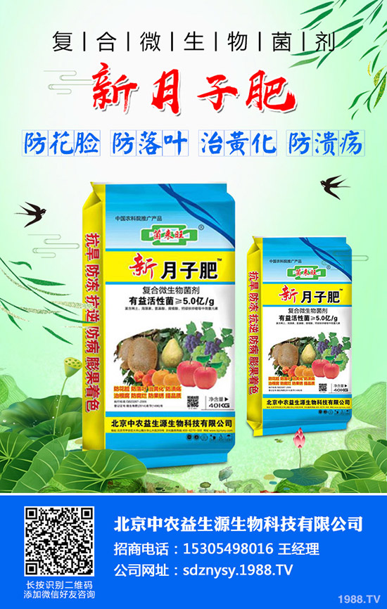     2019-12-5���@�����߄�(sh��)ƽ��������������@�r(ji��)�����(b��o)��