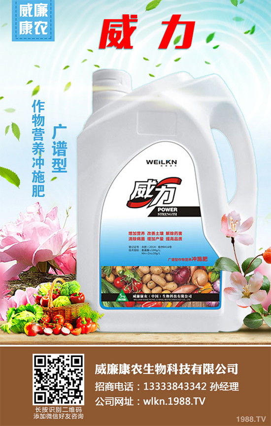     木耳菜不僅好吃而且營(yíng)養(yǎng)豐富，它含有極其豐富的營(yíng)養(yǎng)元素，特別是鈣、鐵等元素的含量非常的高，下面小編就為大家講述一下木耳菜的采收方法，一起來(lái)看看吧！