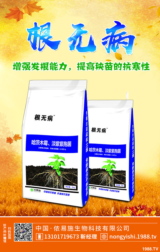 �ڗ��ķNֲҪ�c(di��n)����Щ���ڗ������g����