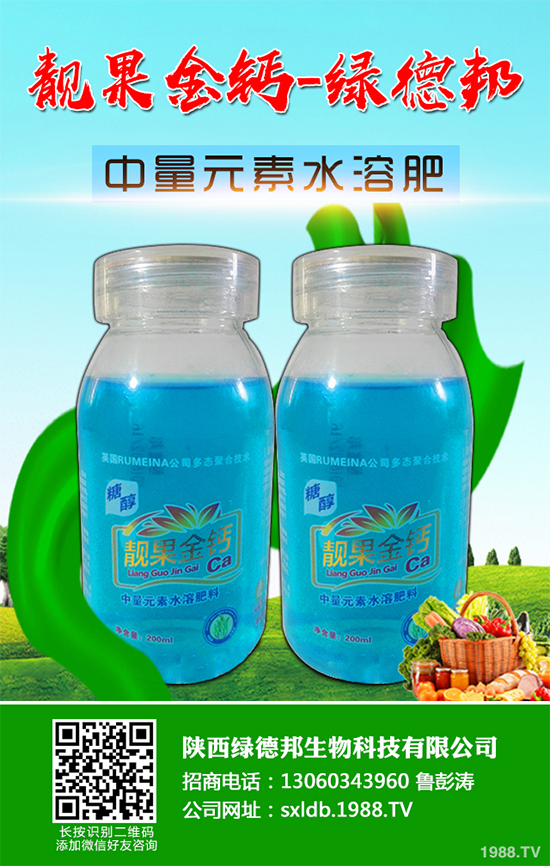 �����߲�����ЩƷ�N�������߲˵ķNֲ�l����ע�����