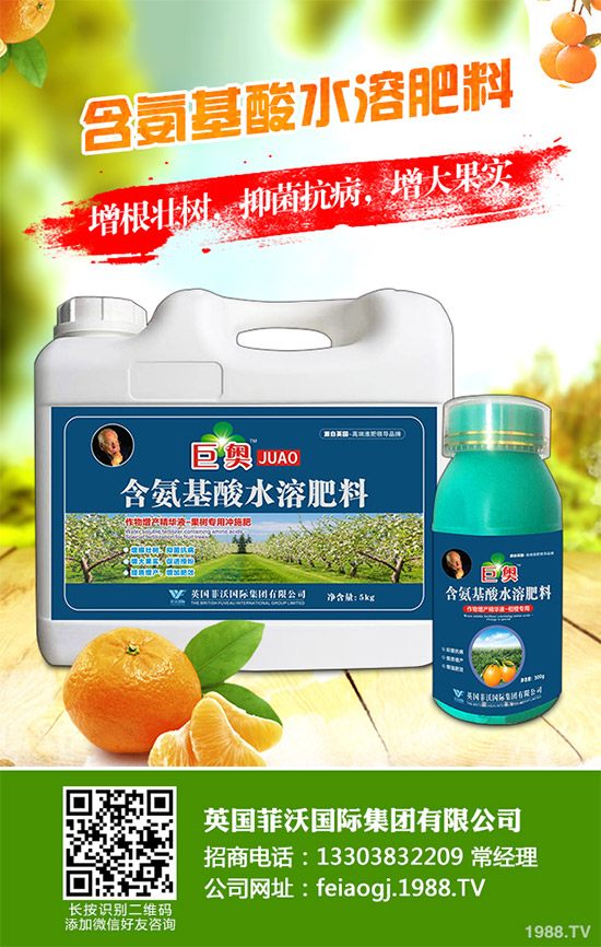 �҇��Ϸ�ԓ���ӷNֲ�{ݮ���{ݮ�߮a(ch��n)�Nֲ���g(sh��)Ҫ�c