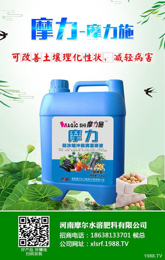 �����ʲô���Ϻ������ʩ�ʼ��g(sh��)����Щ��