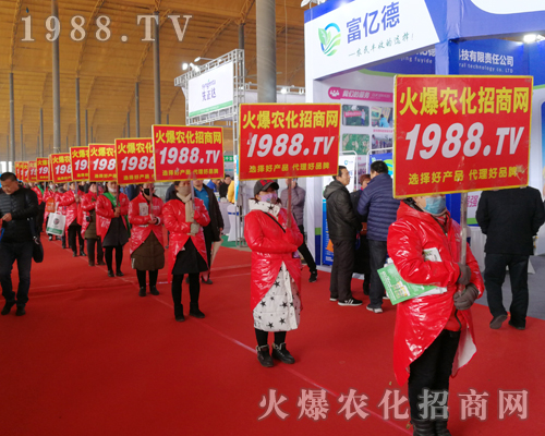     2019�ӱ�ʯ���fֲ����(hu��)�ϻ��r(n��ng)���W(w��ng)��Ӣ�ɳ�������(zh��n)��(j��)��