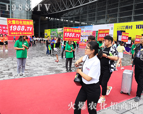     2019�����r(n��ng)�Y����1988.TV�đ�(zh��n)ʿ�ó������[�Լ�