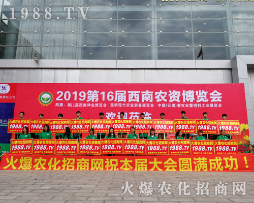     2019�����r(n��ng)�Y���[��(hu��)�����r(n��ng)���W(w��ng)�������o(w��)̎����