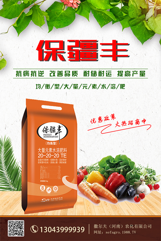 ���؃r����m(x��)�»������վֲ��^(q��)�������Ј�����2019��8��13��