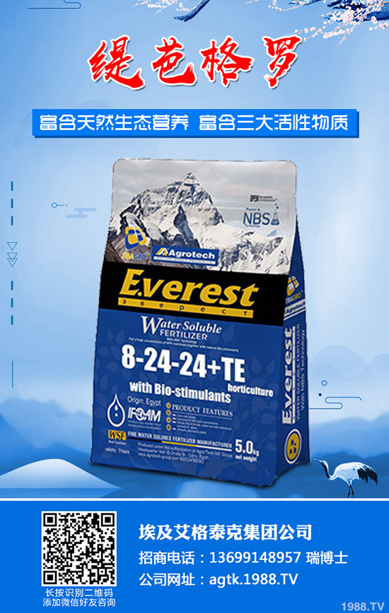 ����ʲô�r(sh��)�g�������������緽��