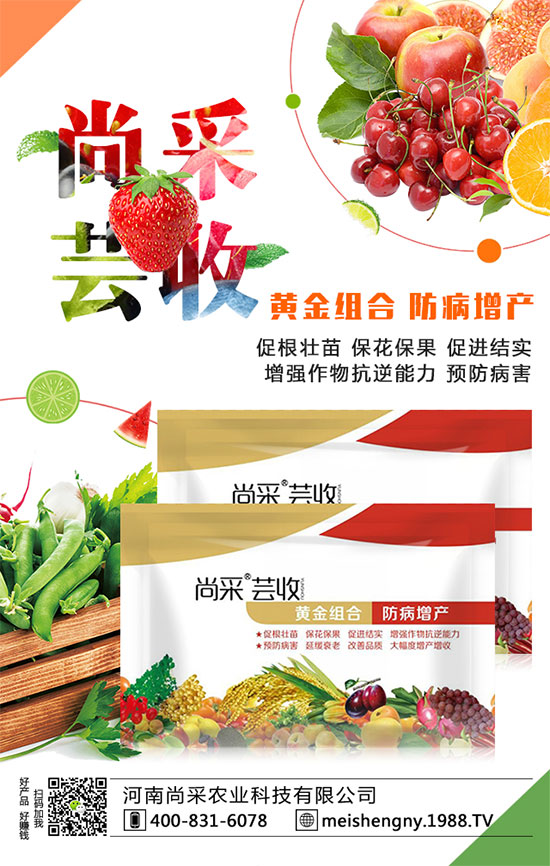 ���������ʵ͵�ԭ����ʲô����������������������