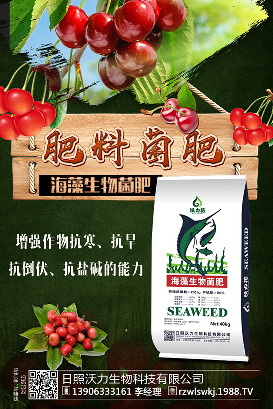 ����Ҫ��Ҫ��������ǵĴ�ⷽ������Щ��