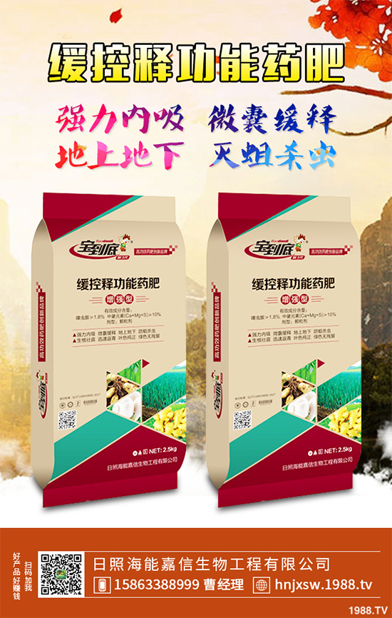 �۲�ԓ��ηNֲ��ע��Щʲô���۲˸߮a(ch��n)�Nֲ����