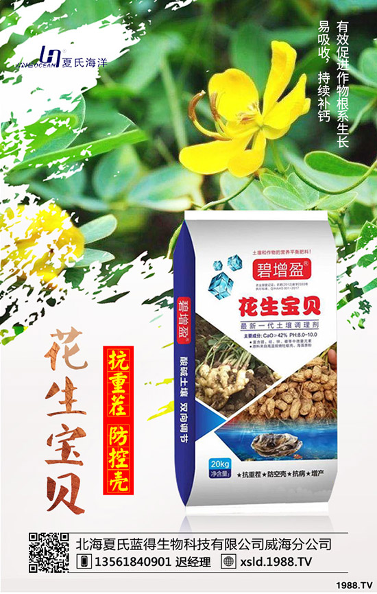 ���{(l��n)���Nǰ����������{(l��n)���߮a(ch��n)�NֲҪ�c(di��n)��