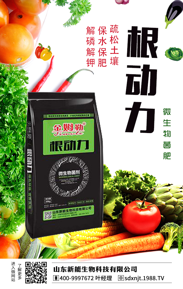 �R��������������νo�R���ʩ�ʣ�