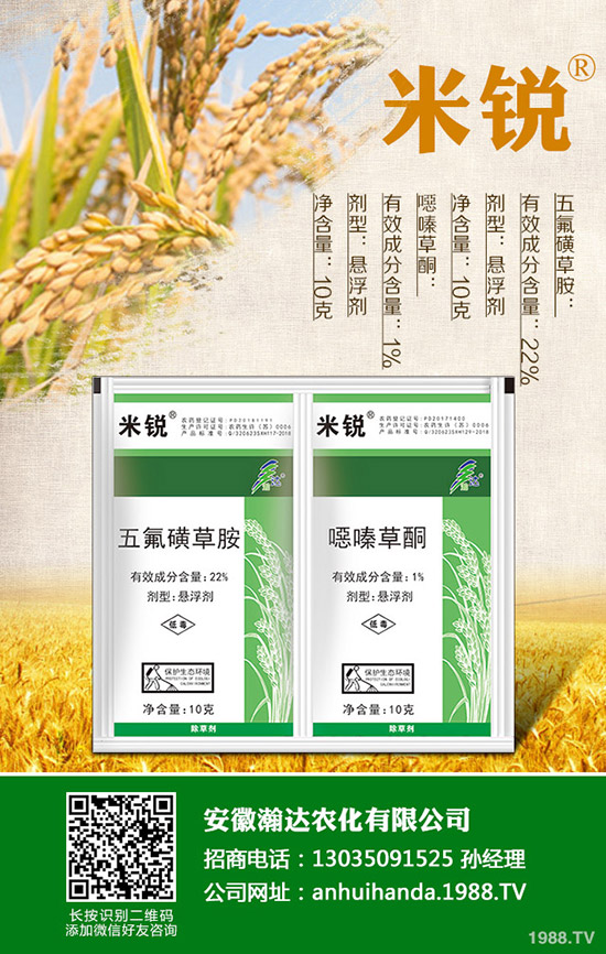 �Բ�������Щ��̎�����˵ĠI(y��ng)�B(y��ng)�r(ji��)ֵ����Щ��