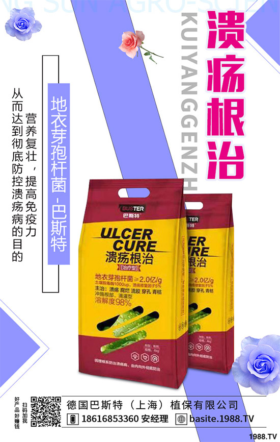 ������һ���Ǽ�(x��)���Բ��������e���e����Ƚ���������������ɷ����Ν�������