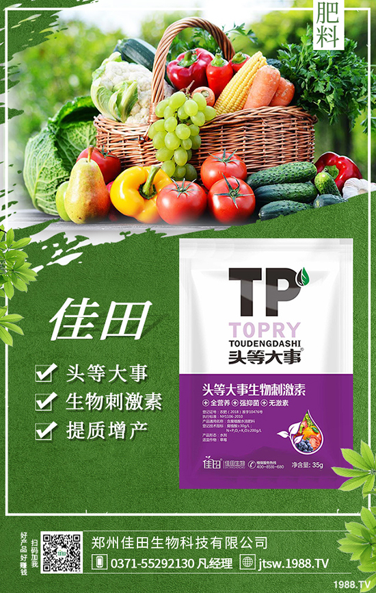 ���ݼ�������Ƽ����޹�˾