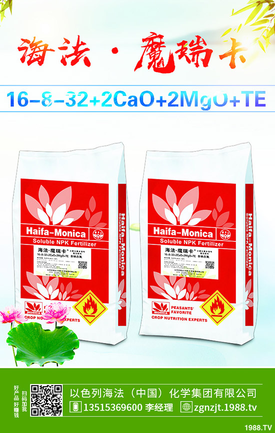     2019��9��10�ս������¸��؅^(q��)��(f��)�Ϸ��������S��(b��o)�r(ji��)һ�[