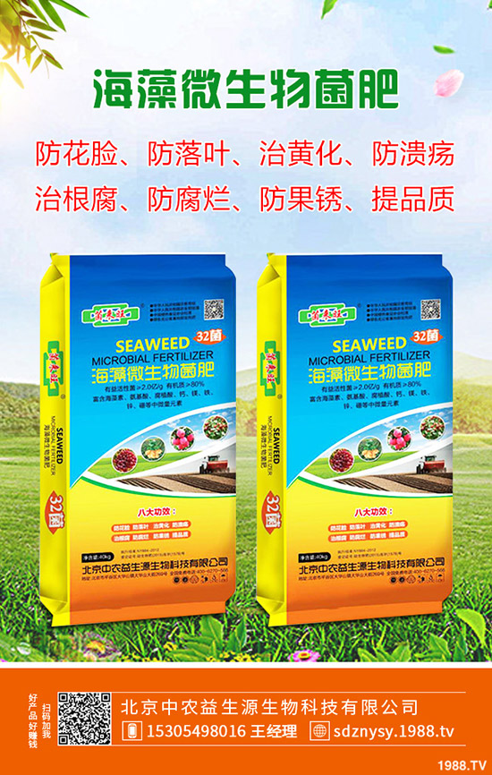 ����ʲô�r(sh��)��Nֲ������һ����³��죿