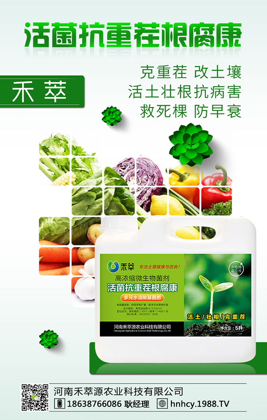 ����÷��ô�޽�������÷�޽ӷ�����