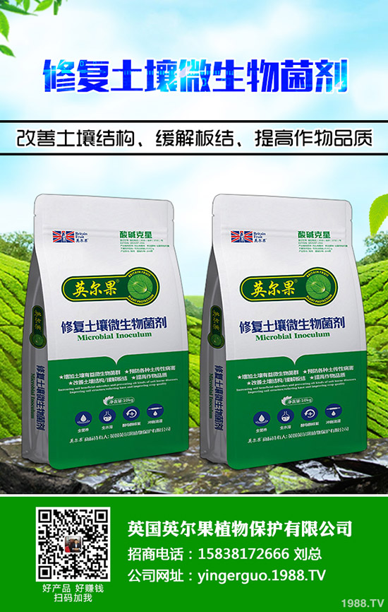     ���؃r�񯂝q�����؃r��ӭ��ȫ���ϝq���������؏S�҈�r2019-9-11