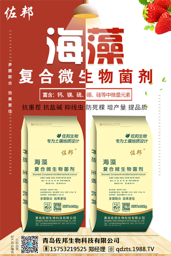 ������ʲô�r���֦����ô�޼����߮a(ch��n)��