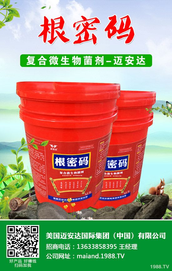 �����Jʲô�r(sh��)��Nֲ�������J�Nֲ���g(sh��)��