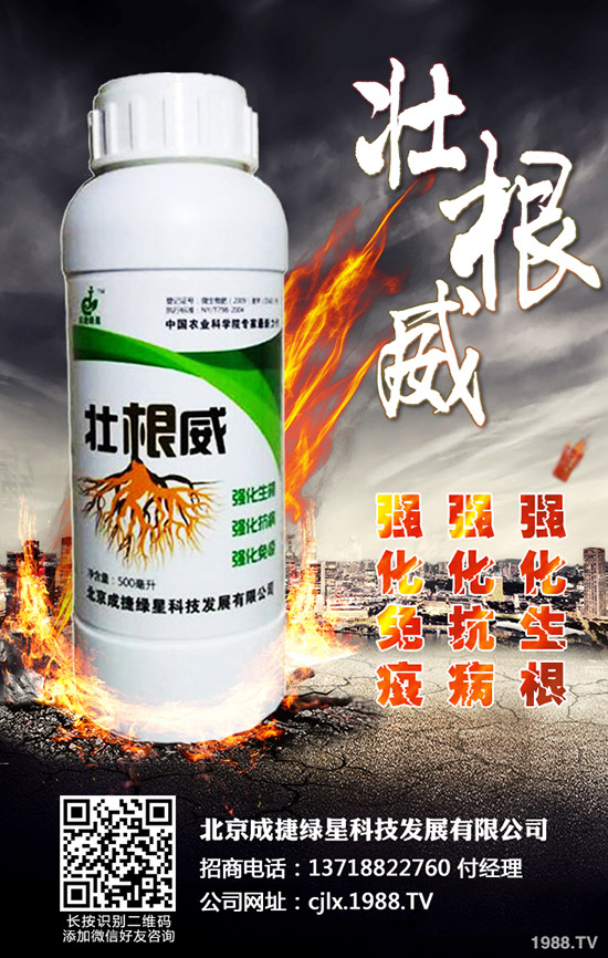 �ཷ�ķNֲ��������Щ���ཷ�Nֲ�^(gu��)������Ҫע��Ď״�(w��n)�}