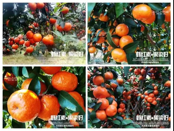 ��Ȼ������ɫ�����������r�t�ء��Ⱦ����