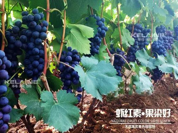 ��Ȼ������ɫ�����������r�t�ء��Ⱦ����