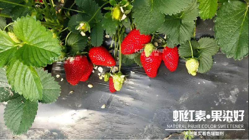 ��Ȼ������ɫ�����������r�t�ء��Ⱦ����