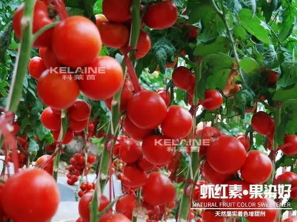 ��Ȼ������ɫ�����������r�t�ء��Ⱦ����