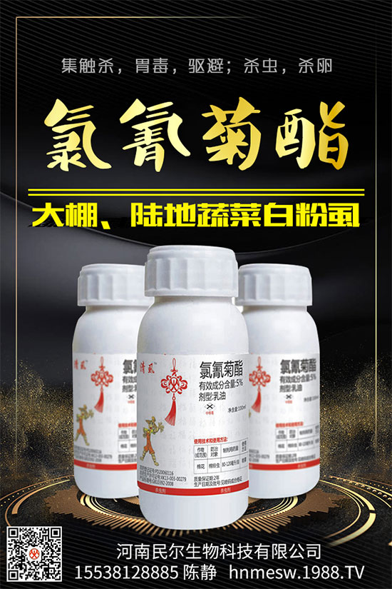 ��䚢�x���r��