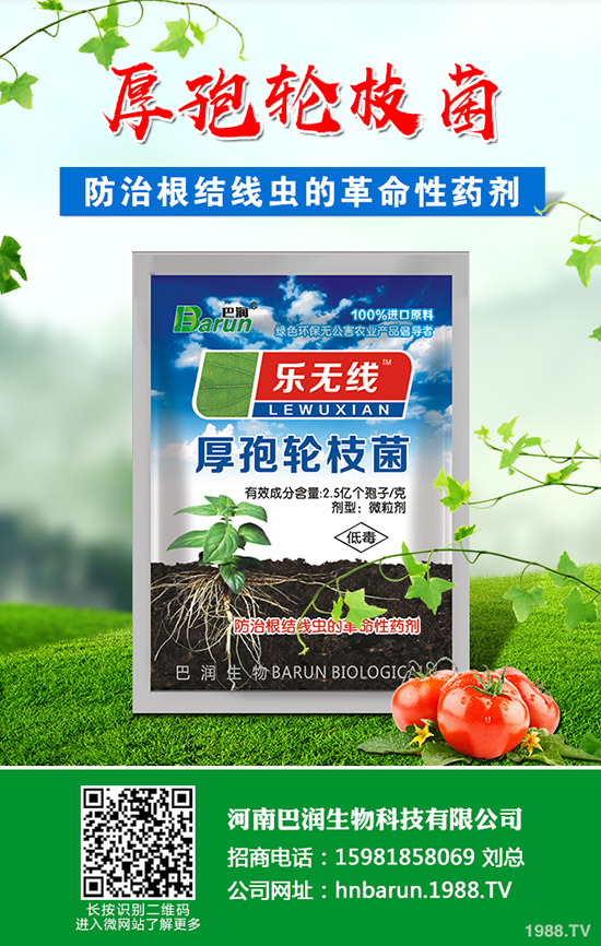 ��֦���~��ô�޼�����֦���~�޼�������