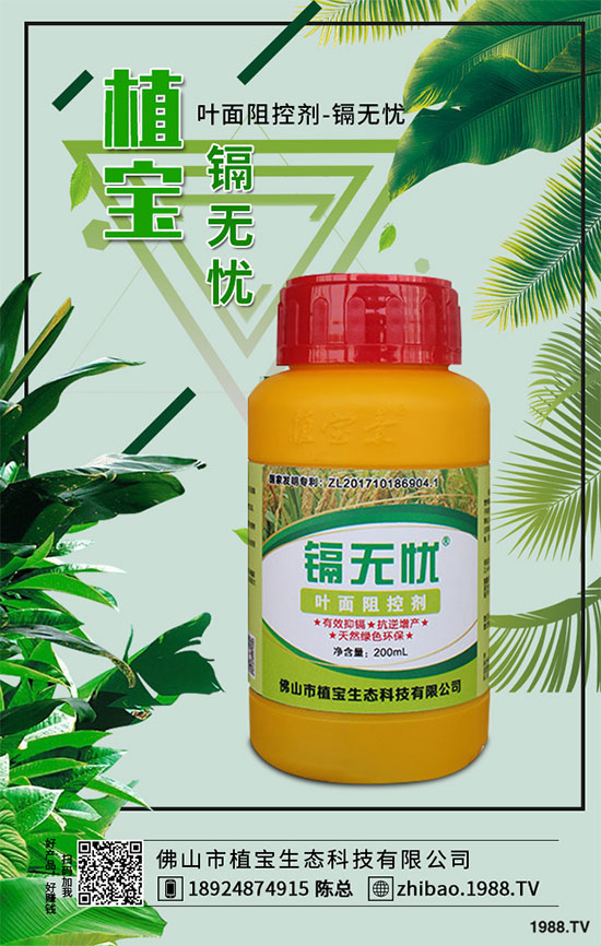 秋季大蔥什么時間種植？2019秋茬大蔥種植技術(shù)指南