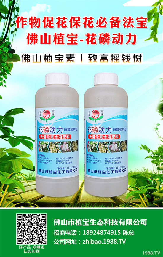 秋季大蔥什么時間種植？2019秋茬大蔥種植技術(shù)指南