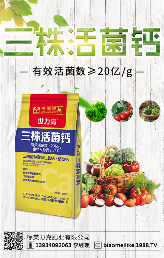 ���S��ʲô�r(sh��)������������S�������ע�����(xi��ng)��