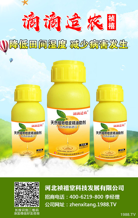 �＾��ݮ��ι������ܸ߮a(ch��n)���＾��ݮ��ֲ�������g(sh��)��