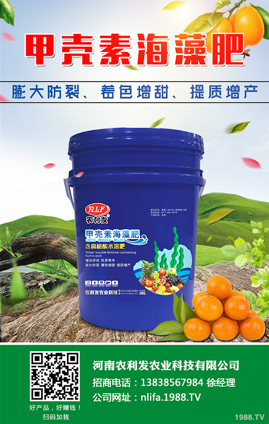 ���[�ɼ���զ���������ӽ�Q�����[�ɼ��ԭ�򼰷���