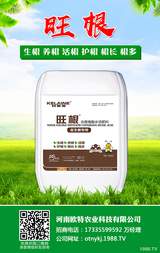 ���[�ɼ���զ���������ӽ�Q�����[�ɼ��ԭ�򼰷���