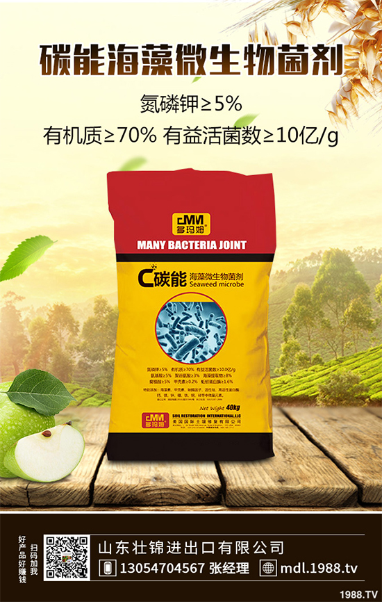 ���[�ϰ߲�����ЩΣ�������������������[�ϰ߲��ķ��δ�ʩ