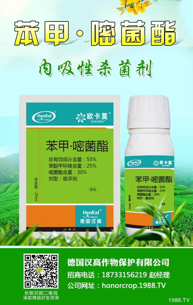 �����J������ô�k�������J�Ĵ󲡺����μ���